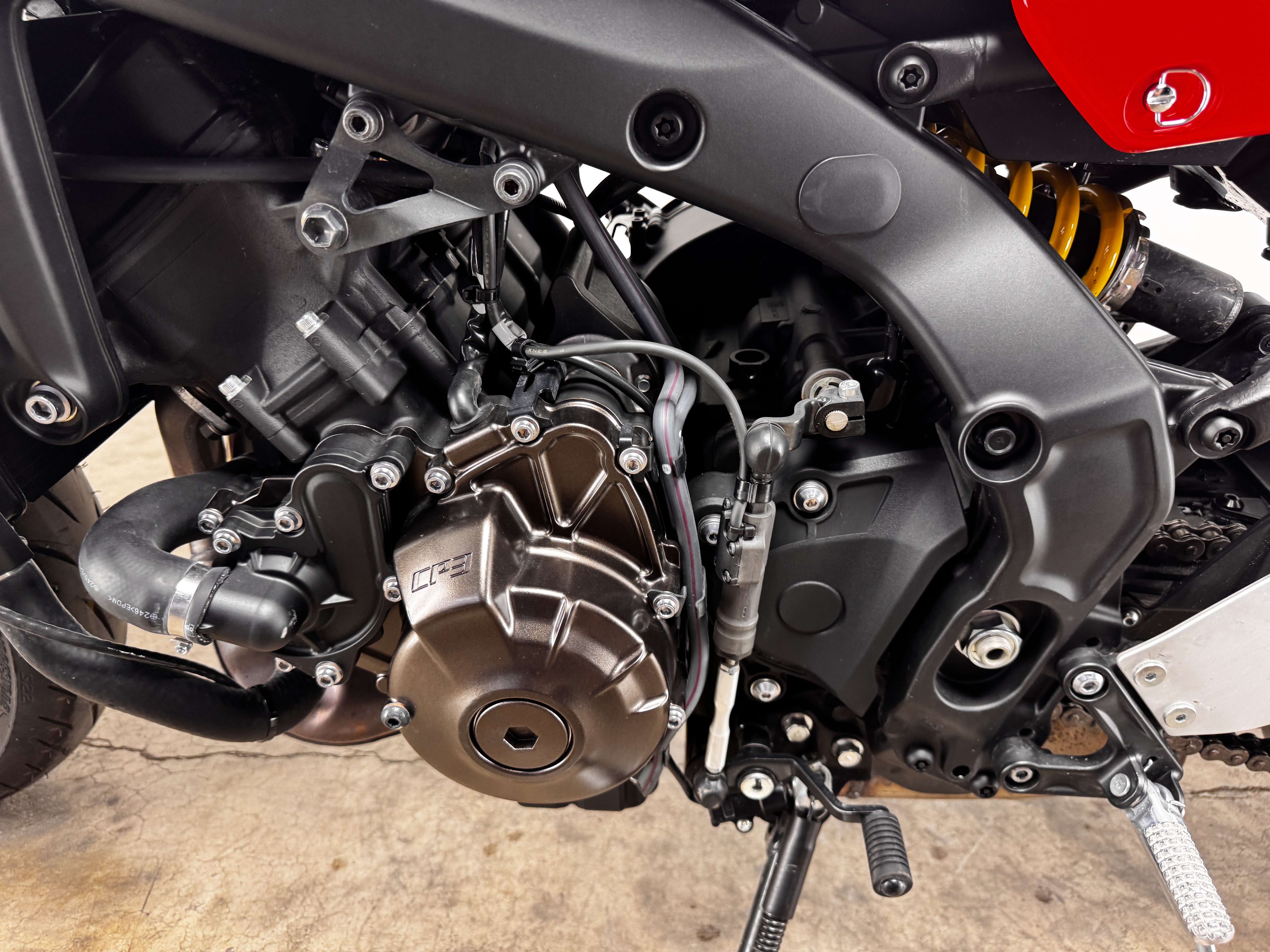 2024 Yamaha XSR900 Motorcycle